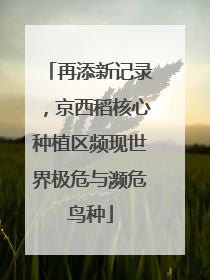 再添新记录，京西稻核心种植区频现世界极危与濒危鸟种