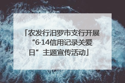 农发行汨罗市支行开展“6·14信用记录关爱日”主题宣传活动