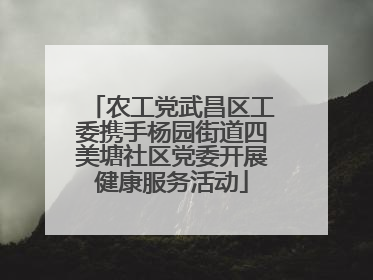 农工党武昌区工委携手杨园街道四美塘社区党委开展健康服务活动