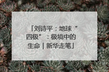 刘诗平：地球“四极”：极境中的生命｜新华走笔