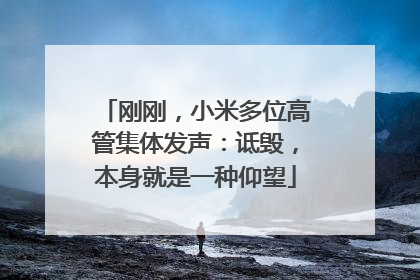 刚刚，小米多位高管集体发声：诋毁，本身就是一种仰望