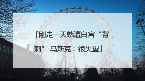 刚走一天就遭白宫“背刺” 马斯克：很失望