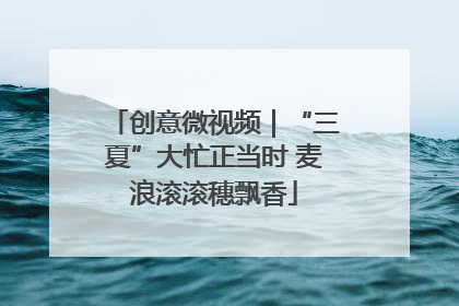 创意微视频｜“三夏”大忙正当时 麦浪滚滚穗飘香