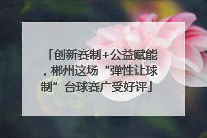 创新赛制+公益赋能，郴州这场“弹性让球制”台球赛广受好评