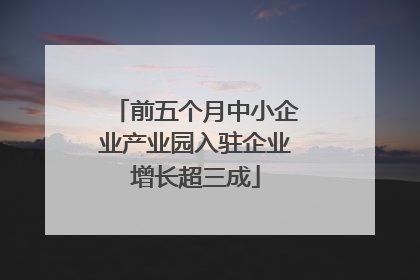 前五个月中小企业产业园入驻企业增长超三成