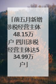 前五月新增涉税经营主体48.15万户 四川涉税经营主体达534.99万户