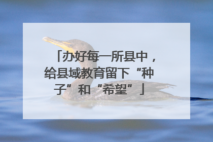 办好每一所县中，给县域教育留下“种子”和“希望”
