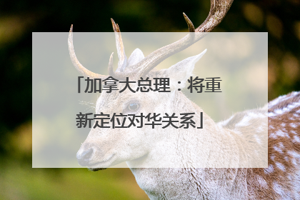 加拿大总理：将重新定位对华关系