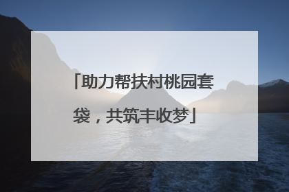 助力帮扶村桃园套袋，共筑丰收梦