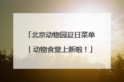 北京动物园夏日菜单丨动物食堂上新啦！