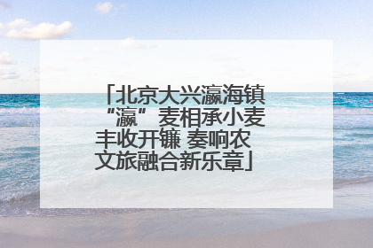 北京大兴瀛海镇“瀛”麦相承小麦丰收开镰 奏响农文旅融合新乐章