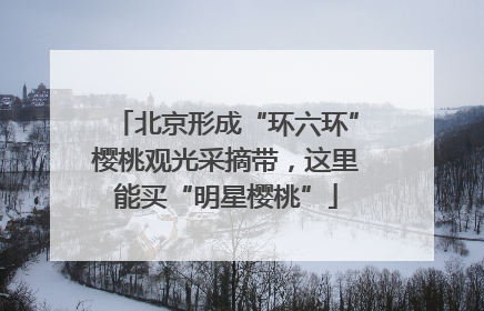 北京形成“环六环”樱桃观光采摘带，这里能买“明星樱桃”