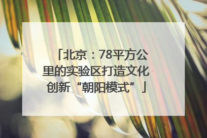 北京：78平方公里的实验区打造文化创新“朝阳模式”