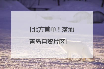 北方首单！落地青岛自贸片区