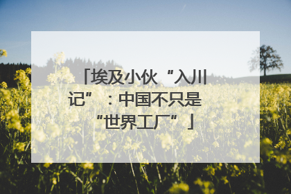 埃及小伙“入川记”:中国不只是“世界工厂”