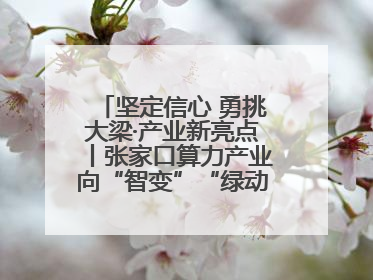 坚定信心 勇挑大梁·产业新亮点丨张家口算力产业向“智变”“绿动”跃升