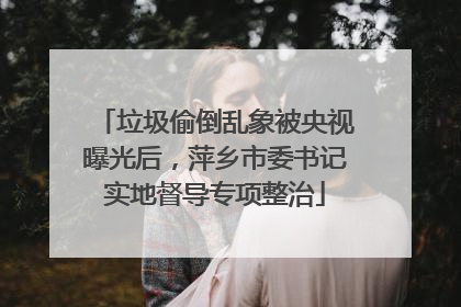垃圾偷倒乱象被央视曝光后，萍乡市委书记实地督导专项整治