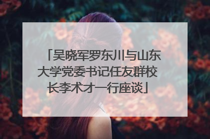 吴晓军罗东川与山东大学党委书记任友群校长李术才一行座谈