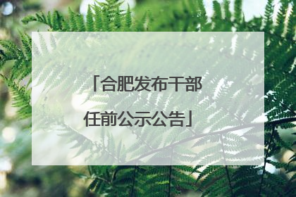 合肥发布干部任前公示公告