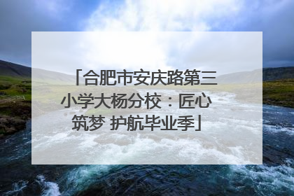 合肥市安庆路第三小学大杨分校：匠心筑梦 护航毕业季