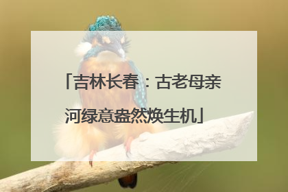 吉林长春：古老母亲河绿意盎然焕生机