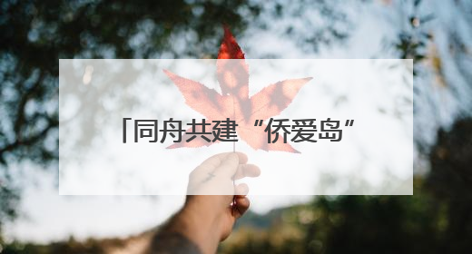 同舟共建“侨爱岛” 浙江省侨商会青委会代表团走进嵊泗