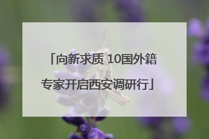 向新求质 10国外籍专家开启西安调研行