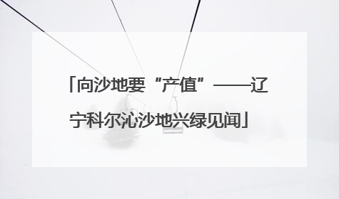 向沙地要“产值”——辽宁科尔沁沙地兴绿见闻