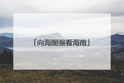 向海图强看海南