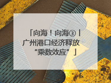 向海！向海③丨广州港口经济释放“乘数效应”