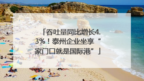吞吐量同比增长4.3%！泰州企业坐享“家门口就是国际港”