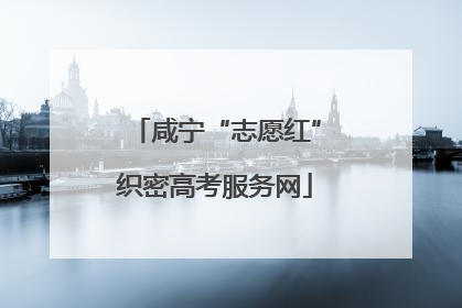 咸宁“志愿红”织密高考服务网