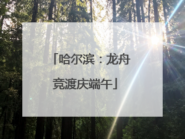 哈尔滨：龙舟竞渡庆端午