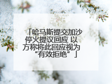 哈马斯提交加沙停火提议回应 以方称将此回应视为“有效拒绝”