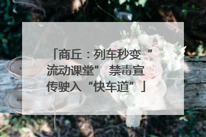 商丘：列车秒变“流动课堂” 禁毒宣传驶入“快车道”