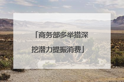 商务部多举措深挖潜力提振消费