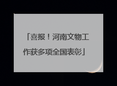 喜报！河南文物工作获多项全国表彰