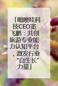 嗯噢哇科技CEO窦飞鹏：共创旅游专业能力认知平台，激发行业“自生长”力量