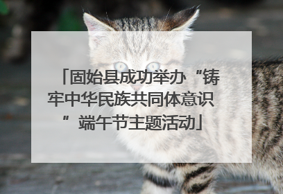固始县成功举办“铸牢中华民族共同体意识”端午节主题活动