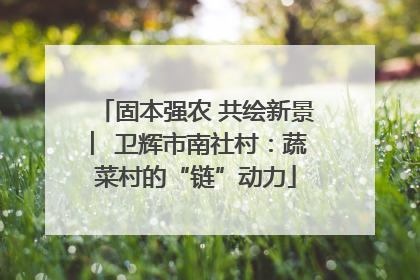 固本强农 共绘新景 ︳卫辉市南社村：蔬菜村的“链”动力