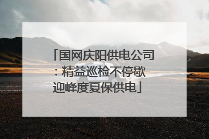 国网庆阳供电公司：精益巡检不停歇 迎峰度夏保供电