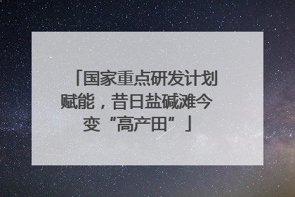 国家重点研发计划赋能，昔日盐碱滩今变“高产田”