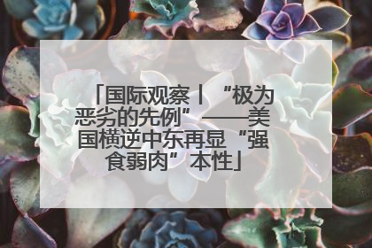 国际观察丨“极为恶劣的先例”——美国横逆中东再显“强食弱肉”本性