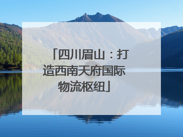 四川眉山：打造西南天府国际物流枢纽