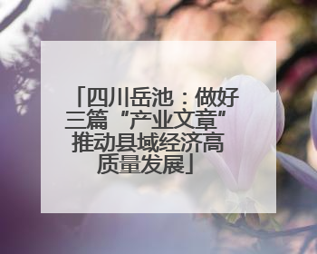 四川岳池：做好三篇“产业文章” 推动县域经济高质量发展