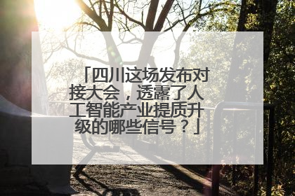 四川这场发布对接大会，透露了人工智能产业提质升级的哪些信号？
