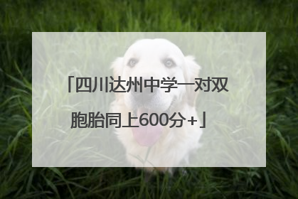 四川达州中学一对双胞胎同上600分+