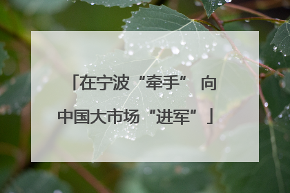 在宁波“牵手” 向中国大市场“进军”