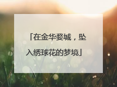 在金华婺城，坠入绣球花的梦境