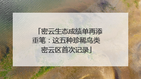 密云生态成绩单再添重笔：这五种珍稀鸟类密云区首次记录